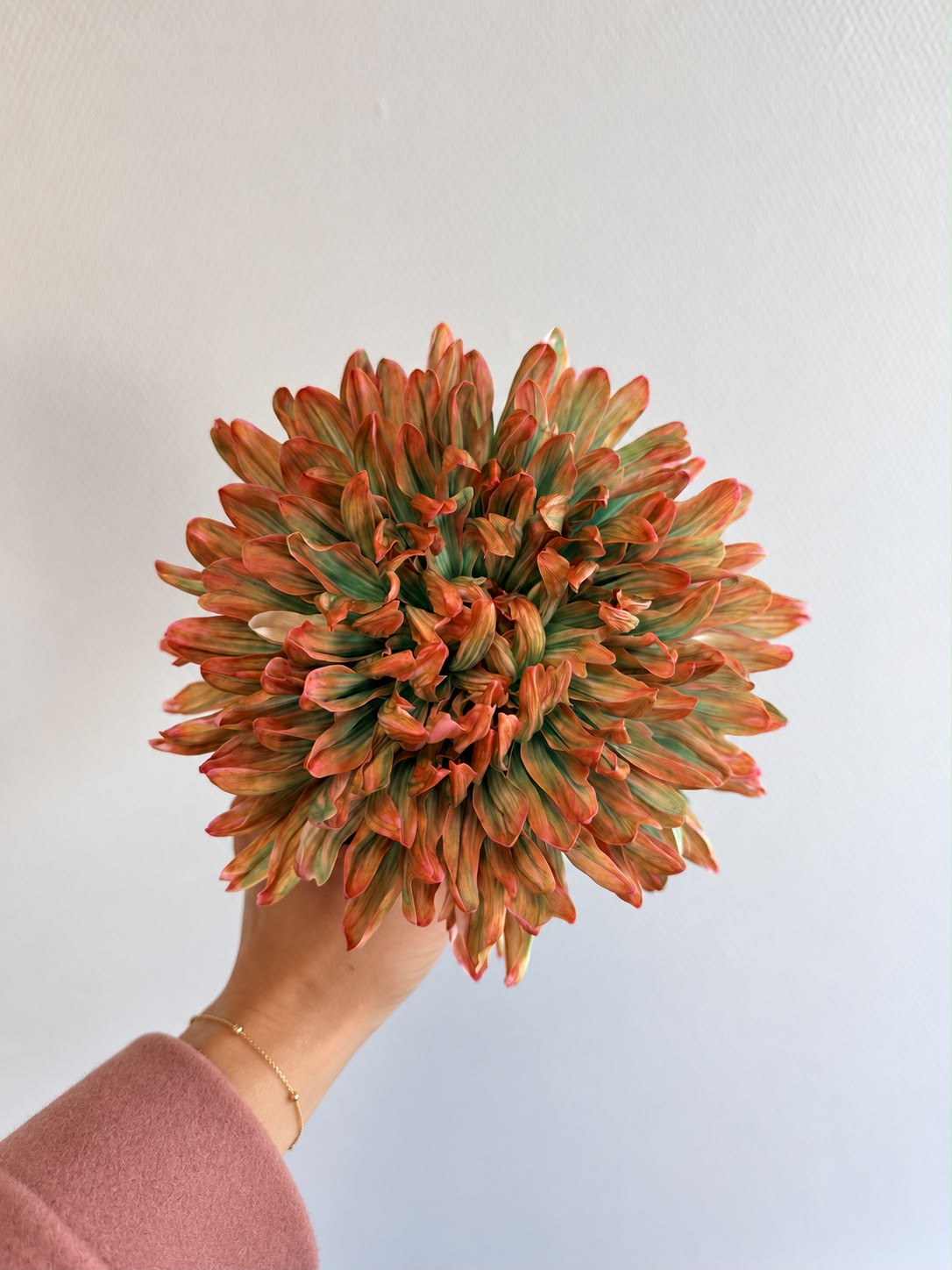 Moderne Chrysanthemen: stilvolle Sträuße ganz ohne Füllgrün